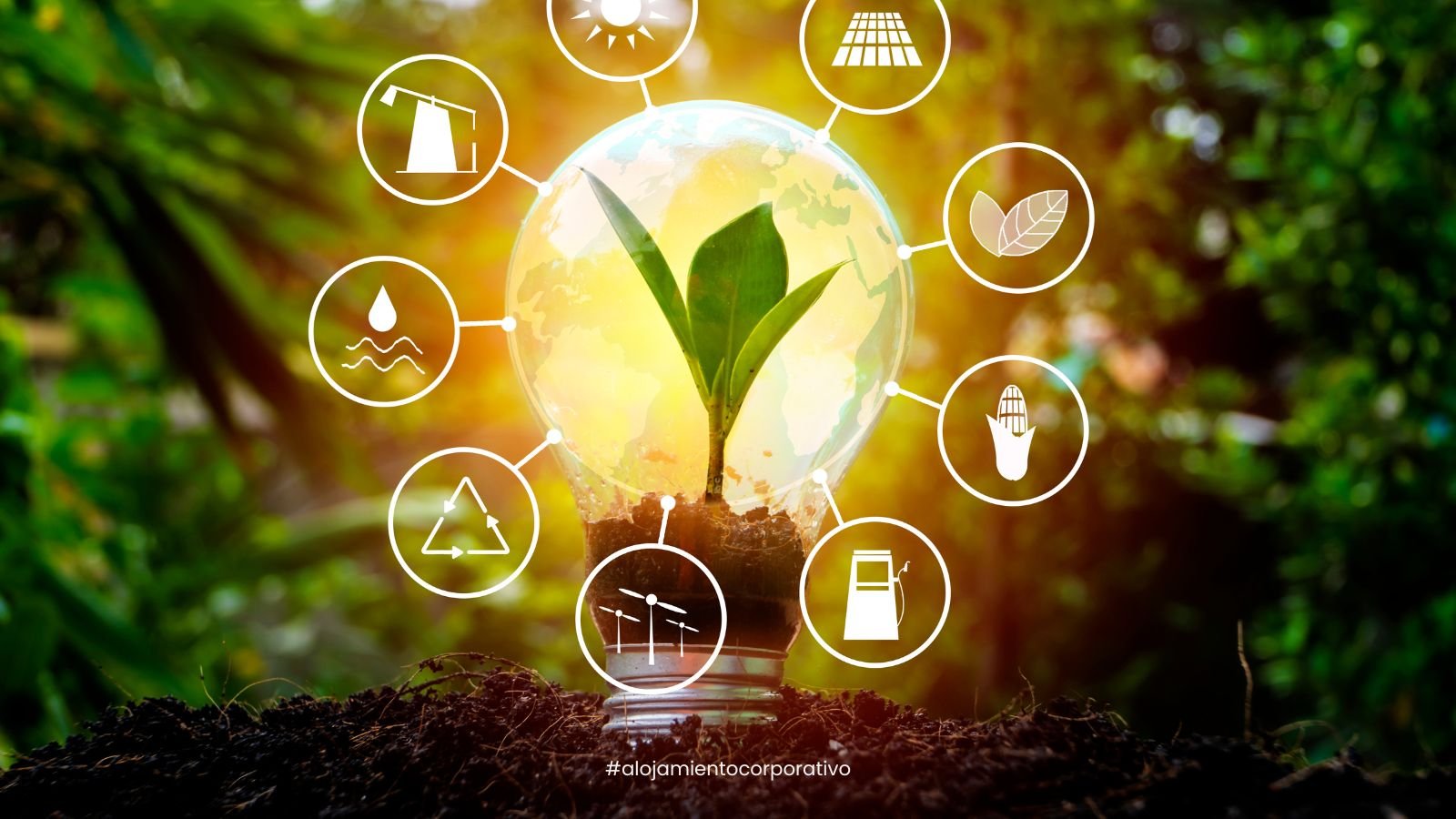 alquiler temporal para trabajadores